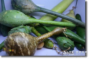 2012佛山安全食用農(nóng)產(chǎn)品博覽會(huì) 構(gòu)建零售新橋梁，守護(hù)舌尖上的安全